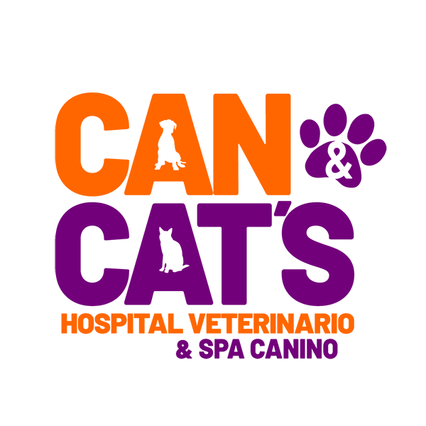 Veterinaria Can&Cats