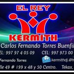 EL REY DISCO KERMITH